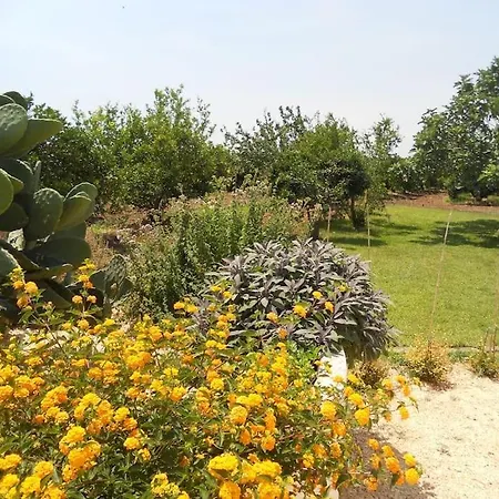 Tenuta Holiday home *