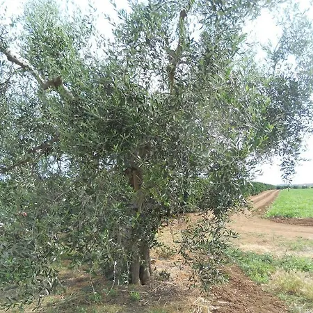 Tenuta Pisticci